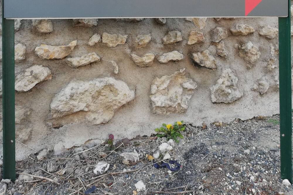 Photo of Outdoor in Orbigny