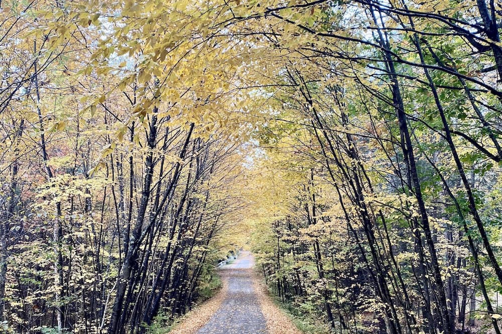 Photo of Others in Chester Depot