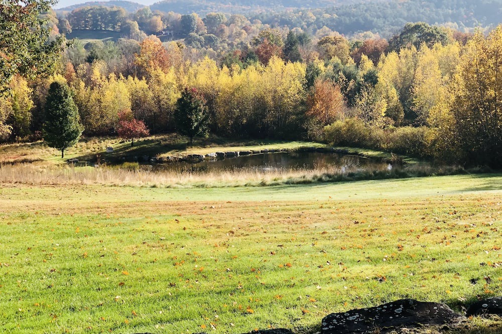 Photo of Others in Chester Depot