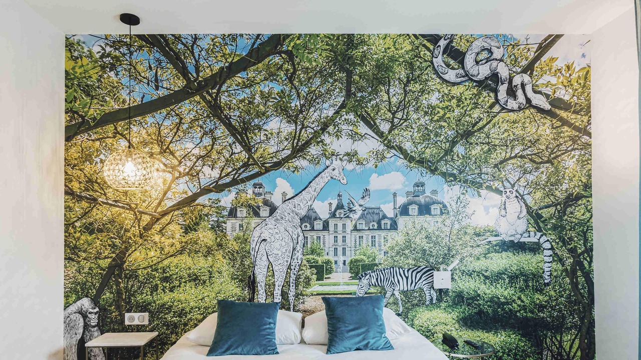 Photo of Bedroom in Contres