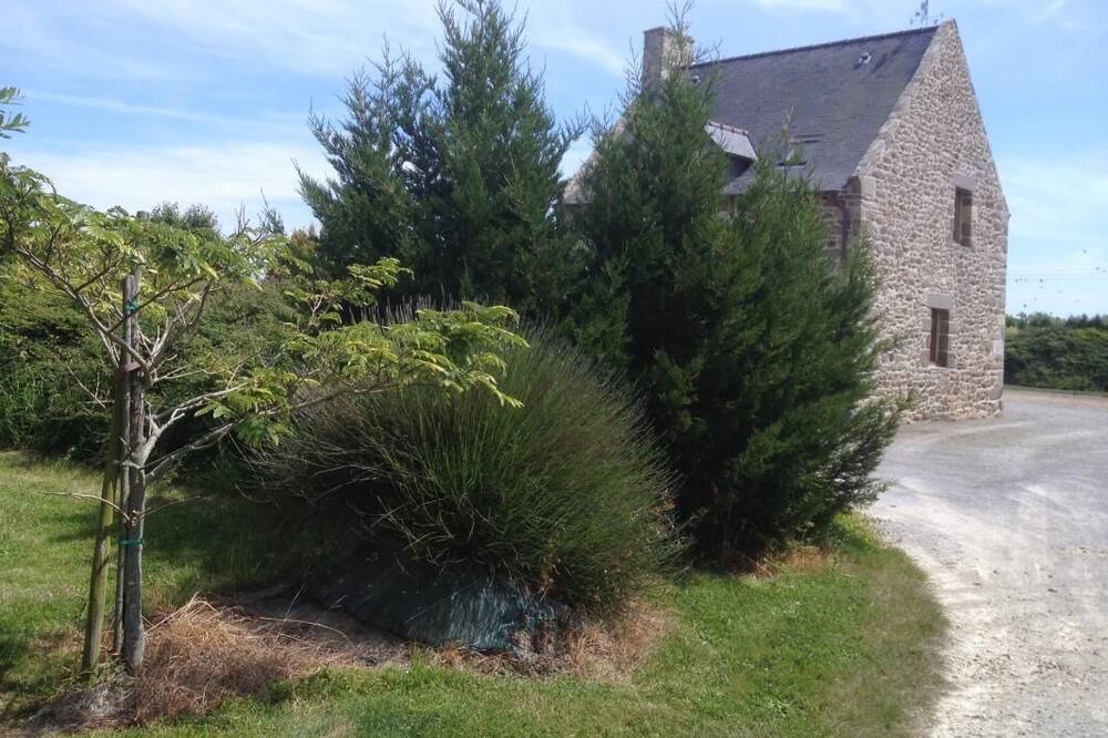 Photo of Outdoor in Saint-Coulomb