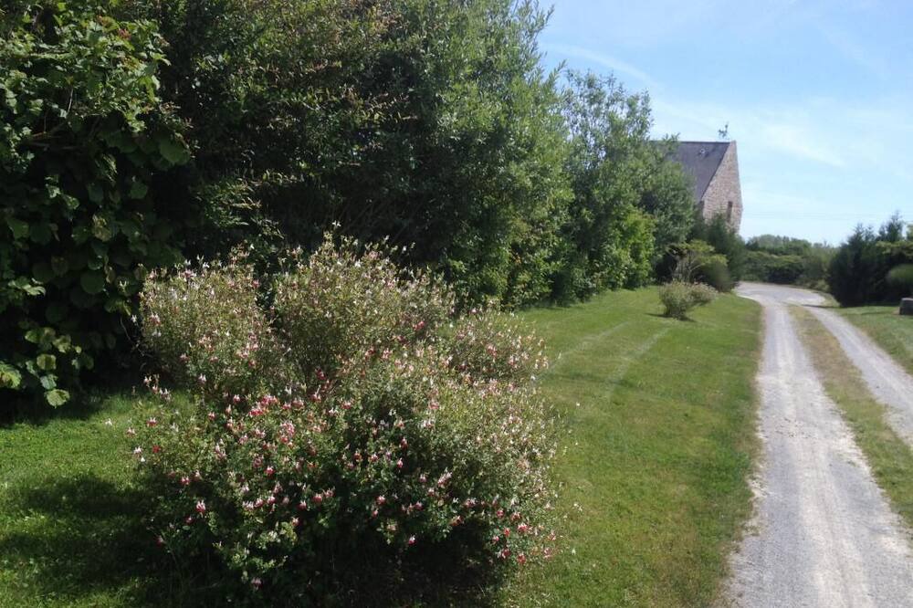 Photo of Outdoor in Saint-Coulomb