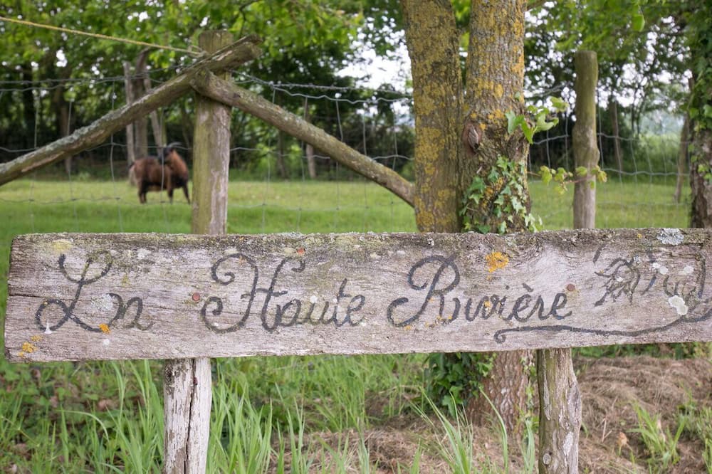 Photo of Others in Coesmes