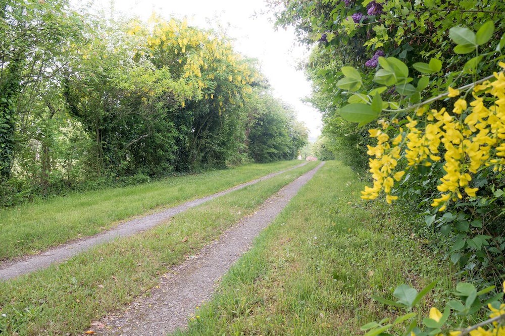 Photo of Outdoor in Coesmes