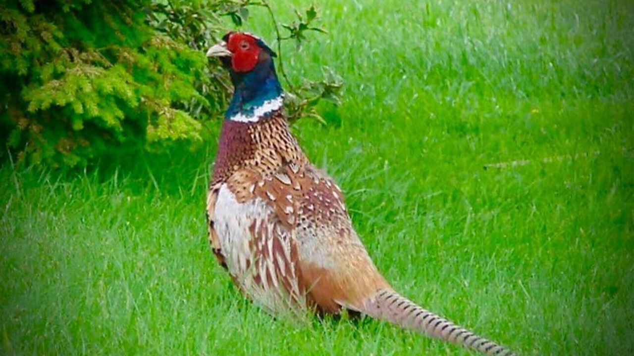 Photo of Outdoor in Macclesfield