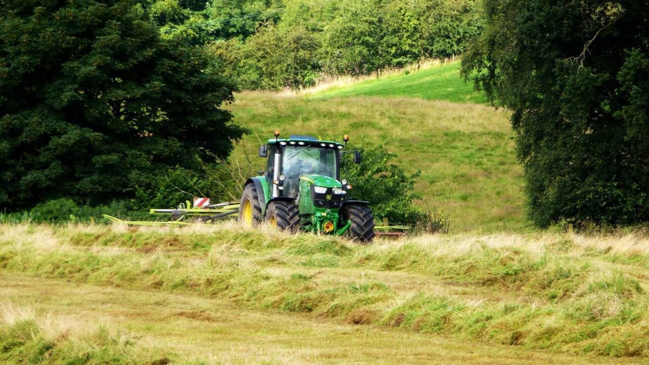 Photo of Others in Macclesfield