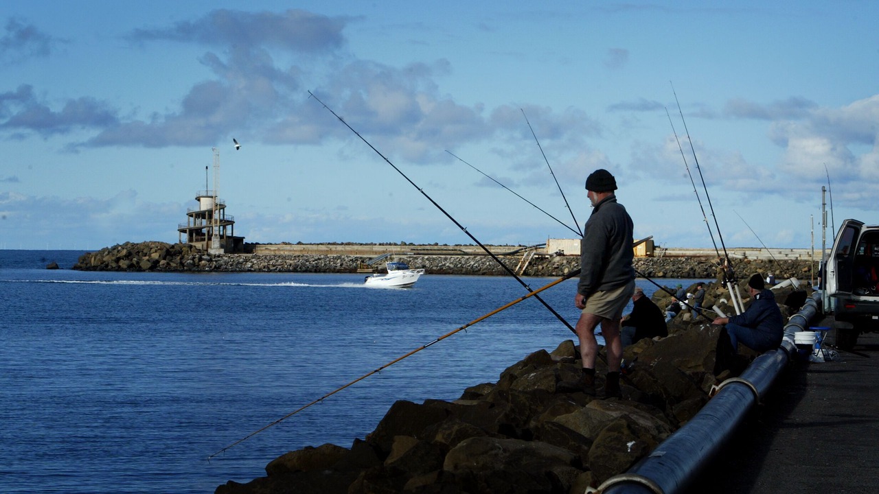 Photo of Others in Portland