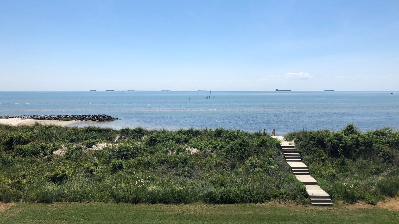 Photo of Others in Cape Charles