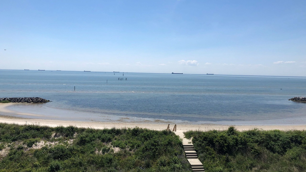 Photo of Others in Cape Charles