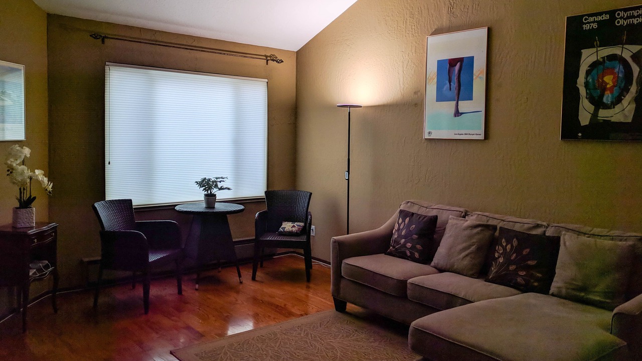 Photo of Livingroom in Lower Pacific Heights