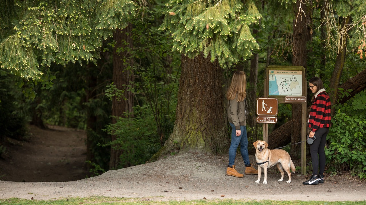 Photo of Outdoor in Kirkland