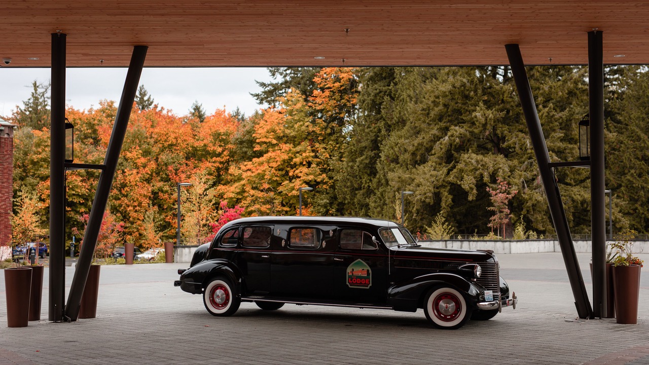 Photo of Outdoor in Kirkland