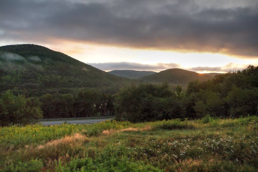 Photo of Outdoor in Margaree Forks