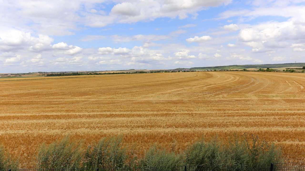 Photo of Others in Reims