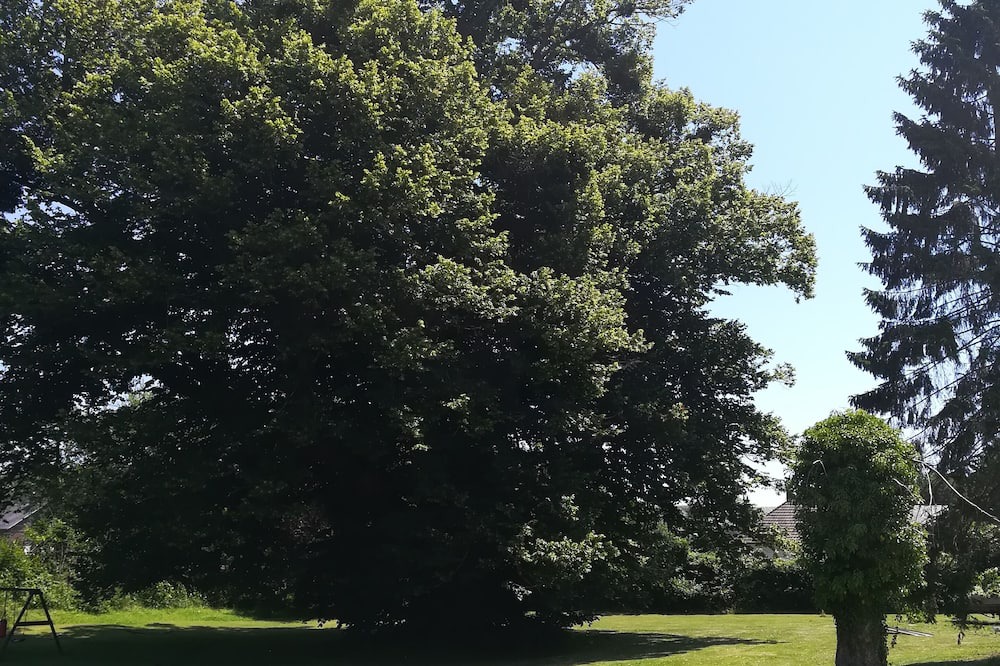 Photo of Outdoor in Gruchet-le-Valasse