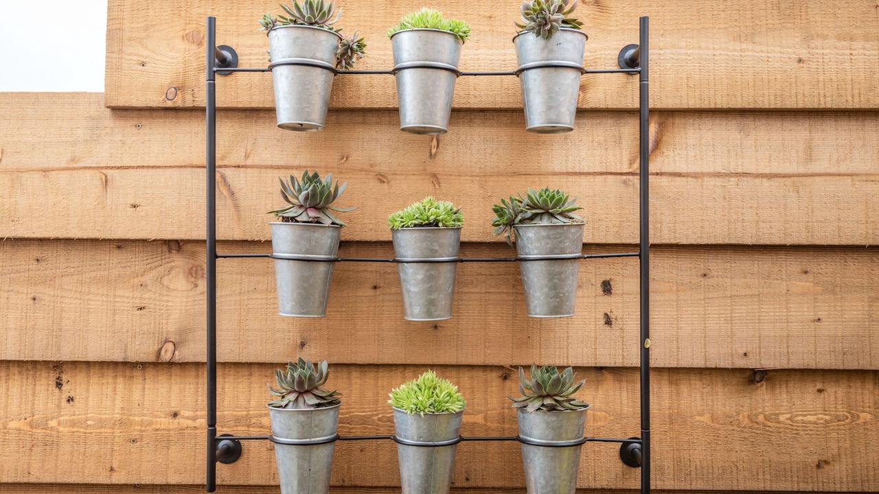 Photo of Others in Dyserth