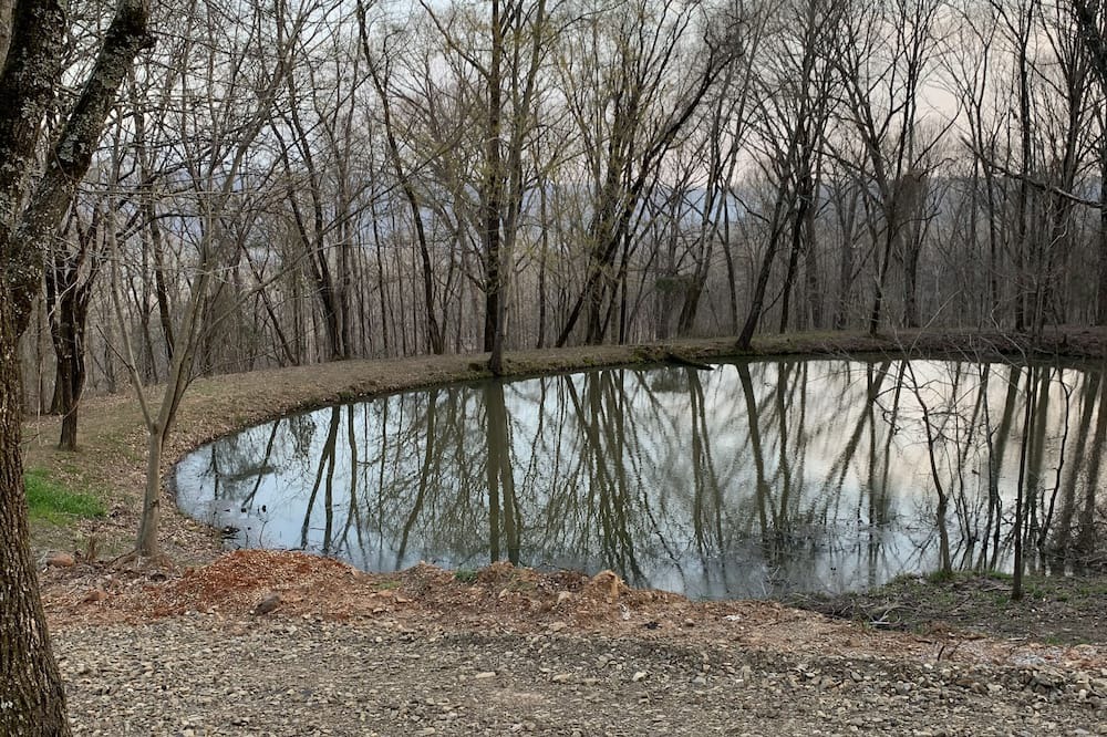Photo of Outdoor in Mountainburg