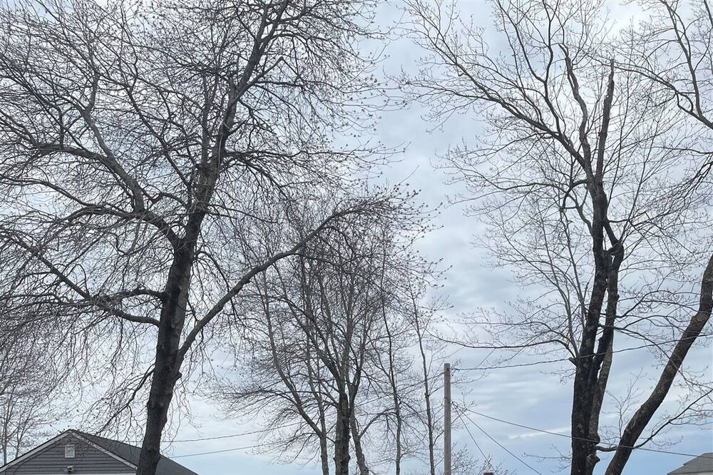 Photo of Others in Standish