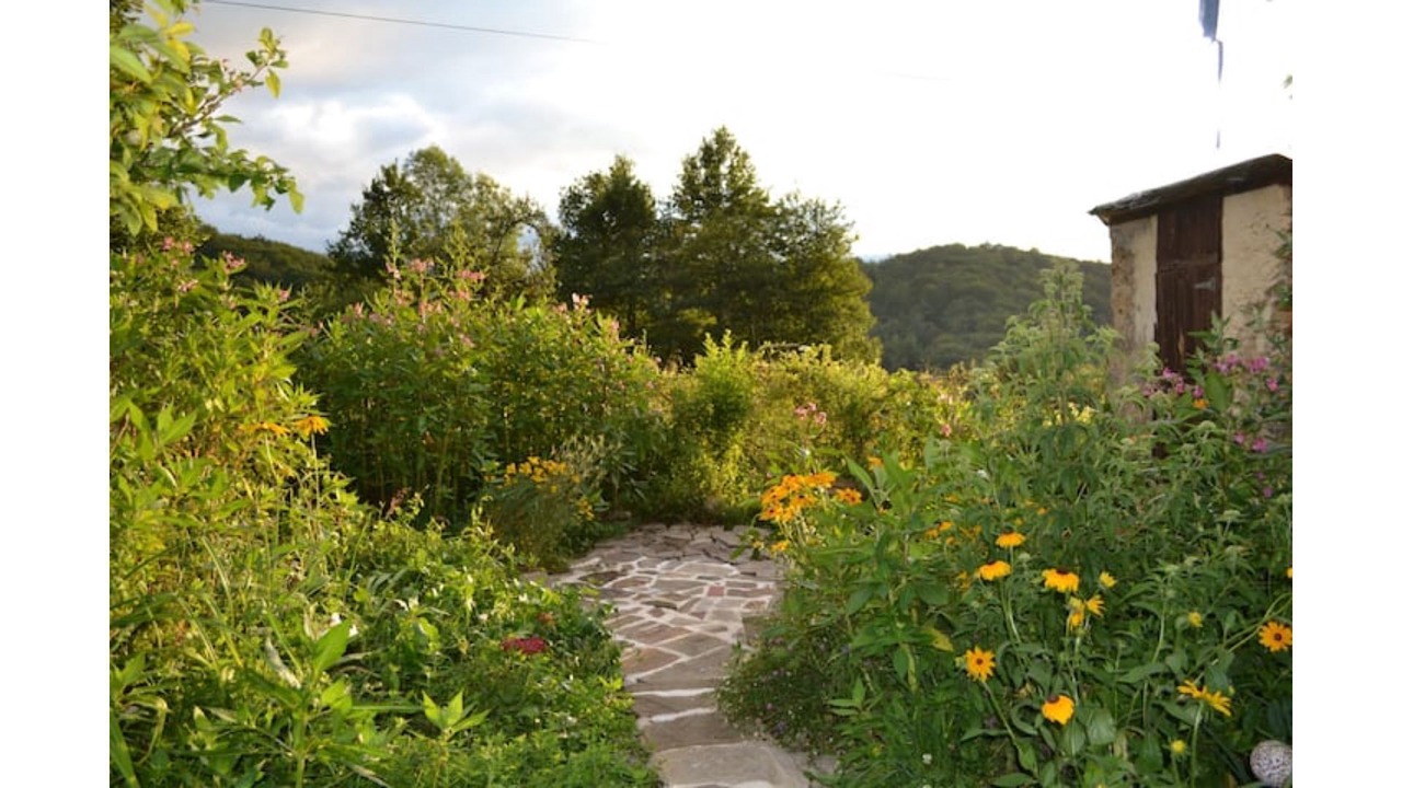 Photo of Outdoor in Aleu