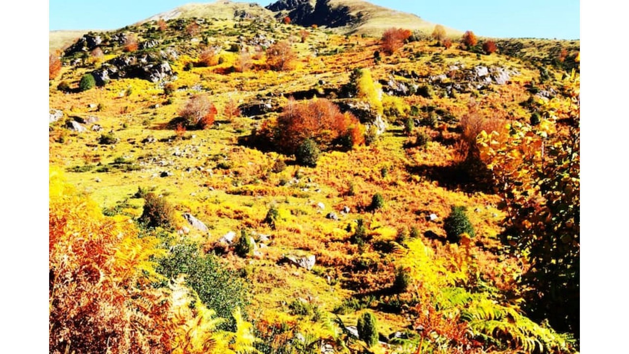 Photo of Outdoor in Aleu