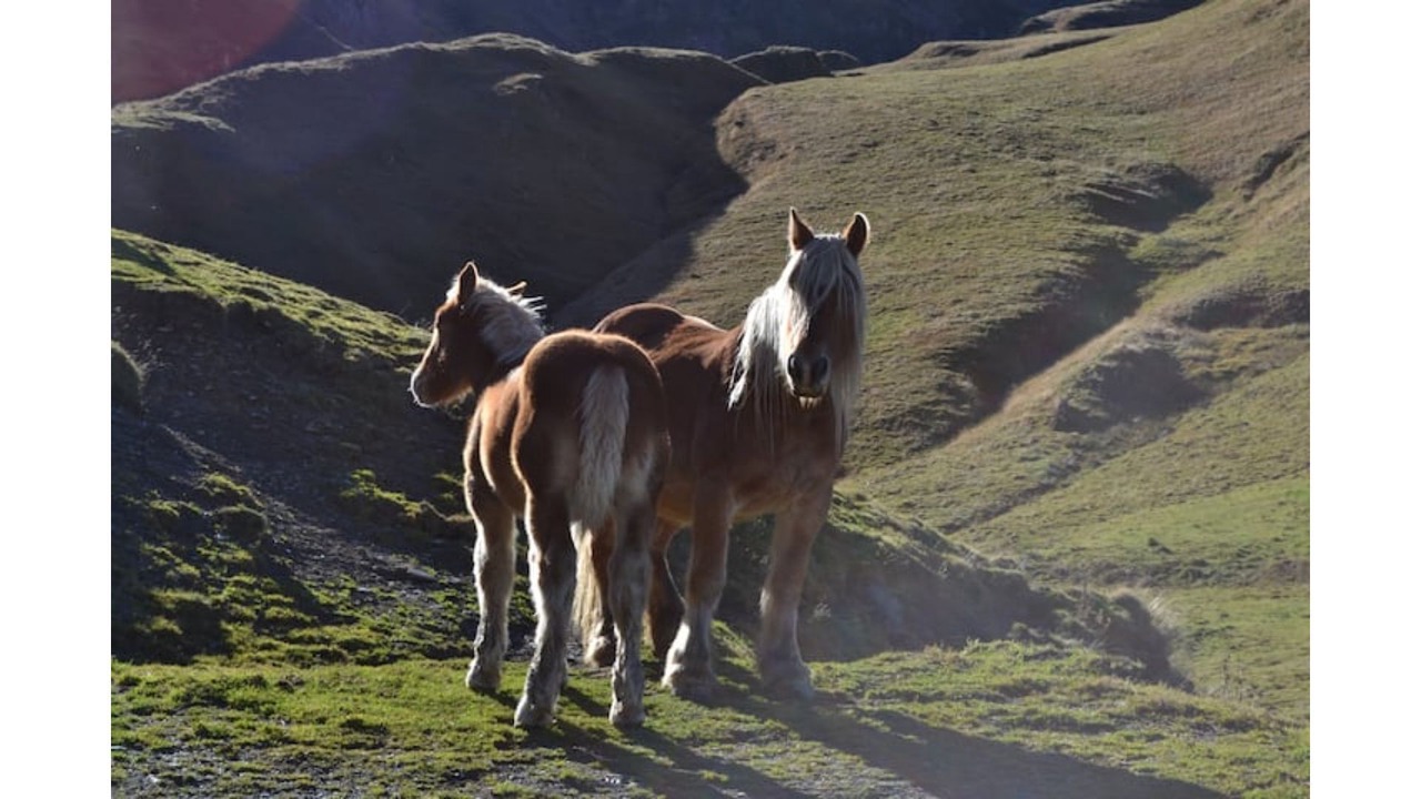 Photo of Others in Aleu