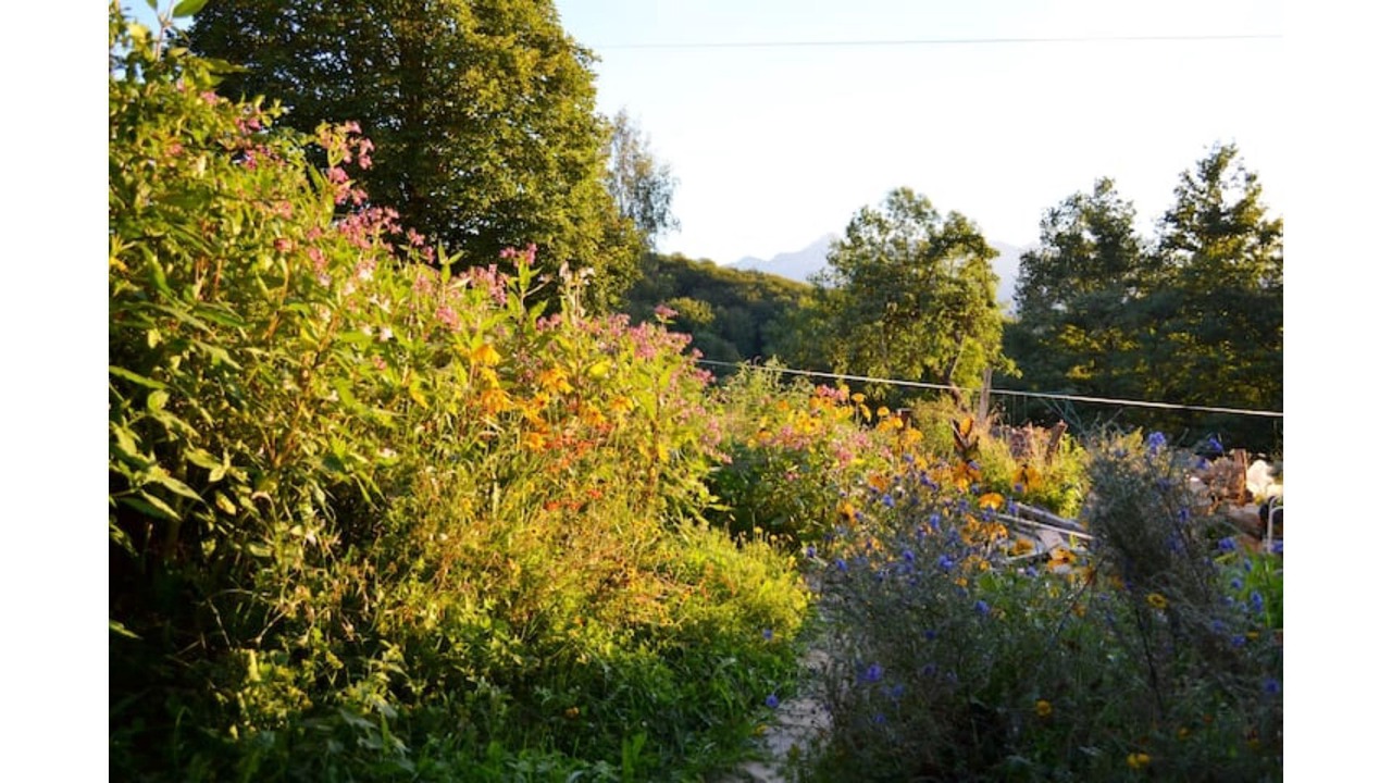 Photo of Outdoor in Aleu