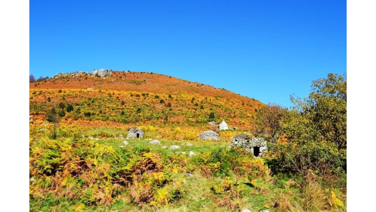 Photo of Others in Aleu