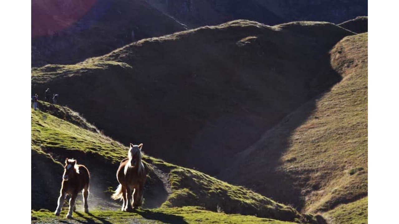 Photo of Outdoor in Aleu