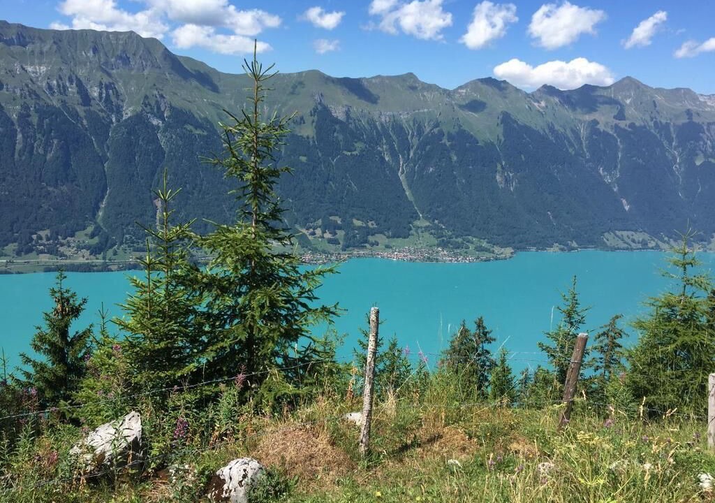 Photo of Others in Oberried am Brienzersee