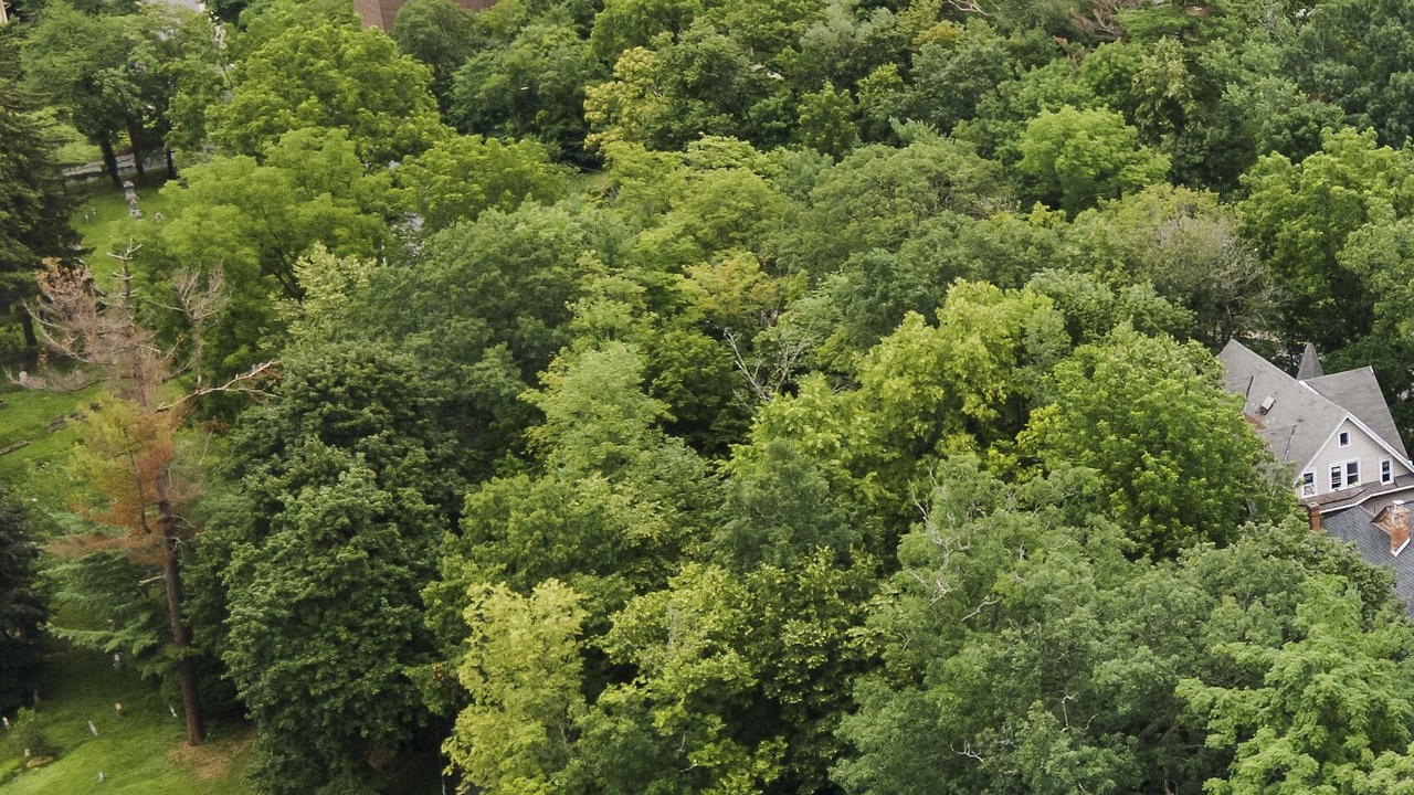 Photo of Outdoor in Ithaca