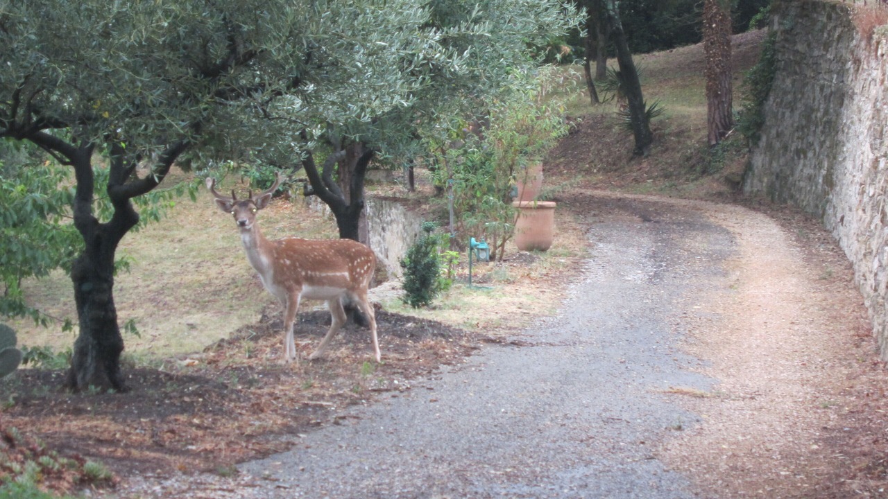 Photo of Outdoor in Rochegude