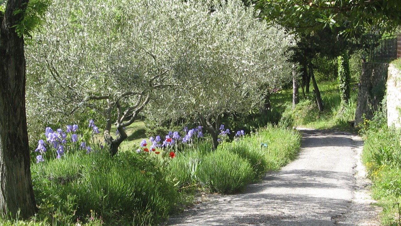 Photo of Outdoor in Rochegude