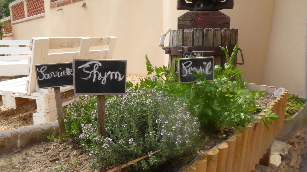 Photo of Outdoor in Rochegude