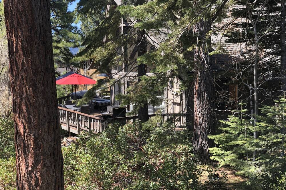 Photo of Outdoor in Lake Forest