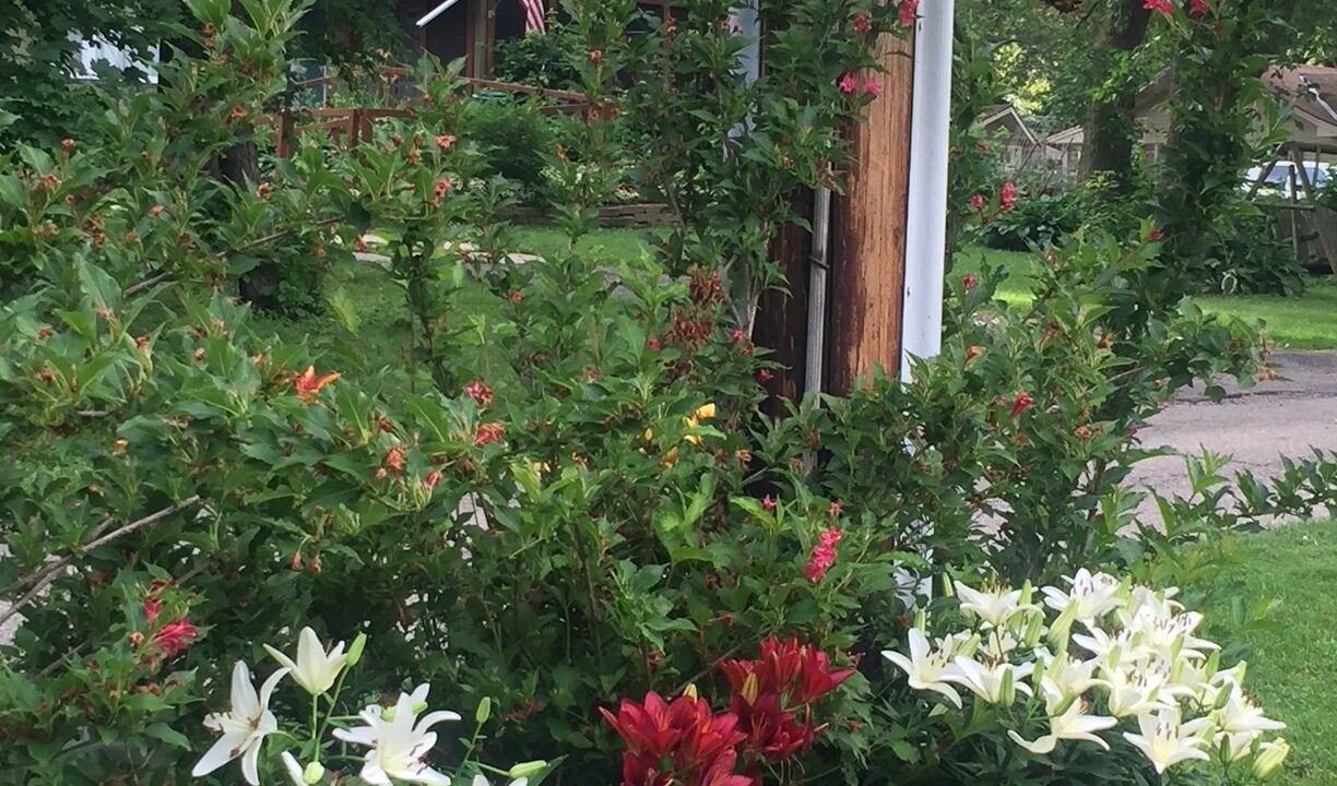 Photo of Outdoor in Austin