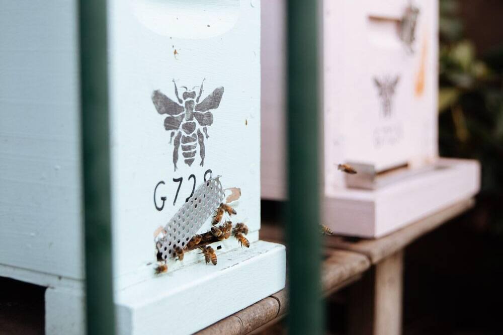 Photo of Others in Mount Eliza