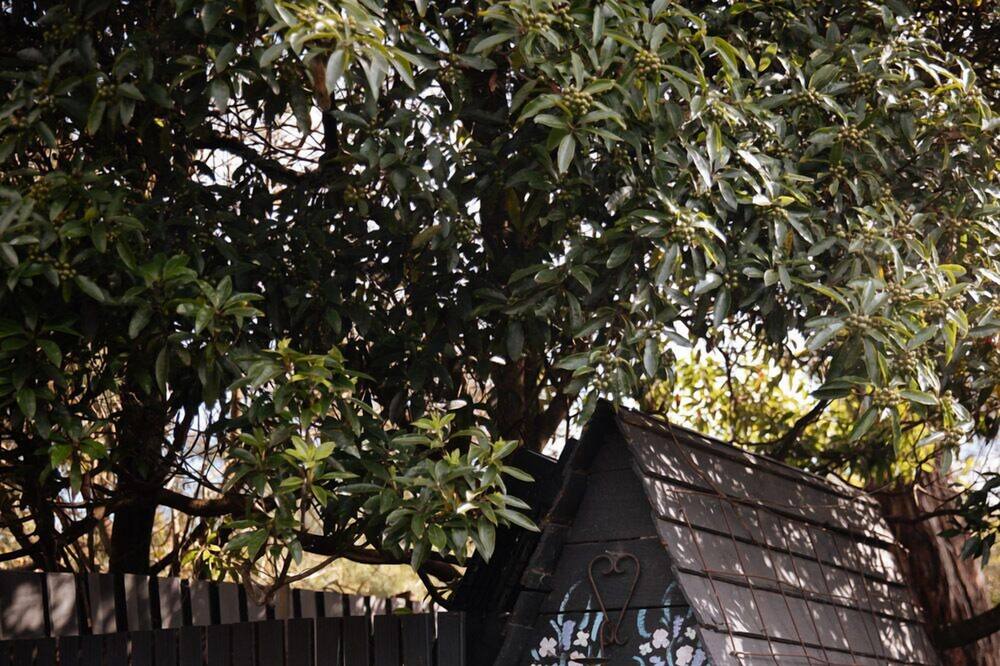 Photo of Others in Mount Eliza