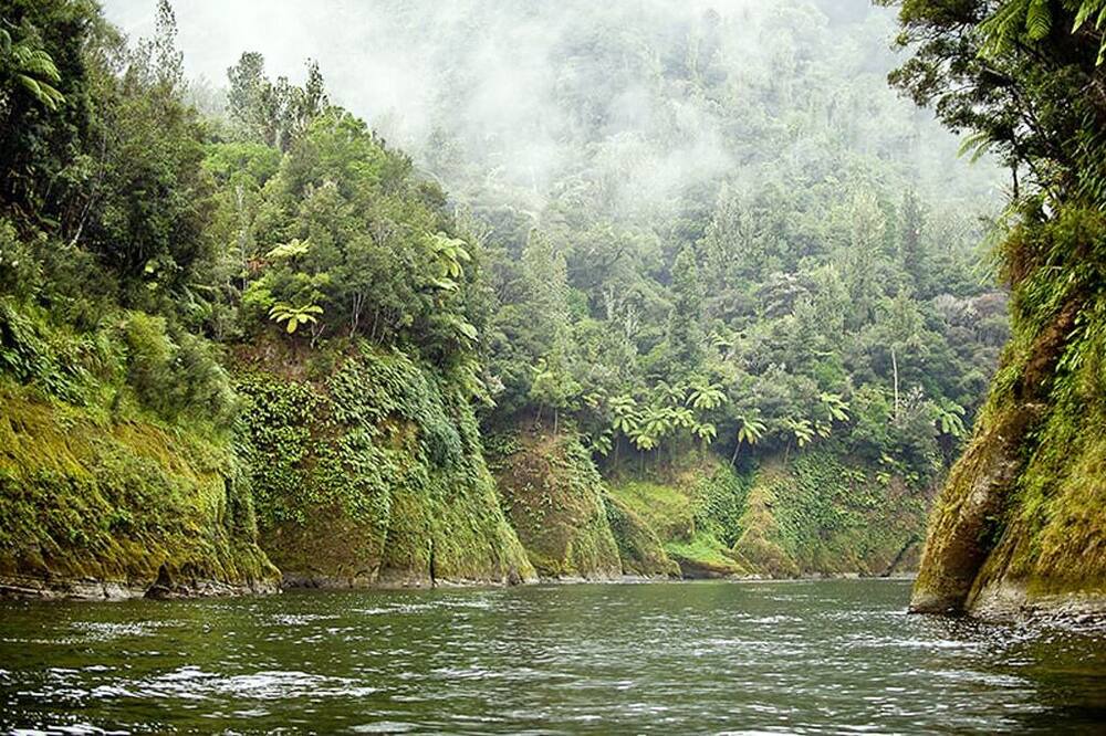 Photo of Outdoor in Whanganui