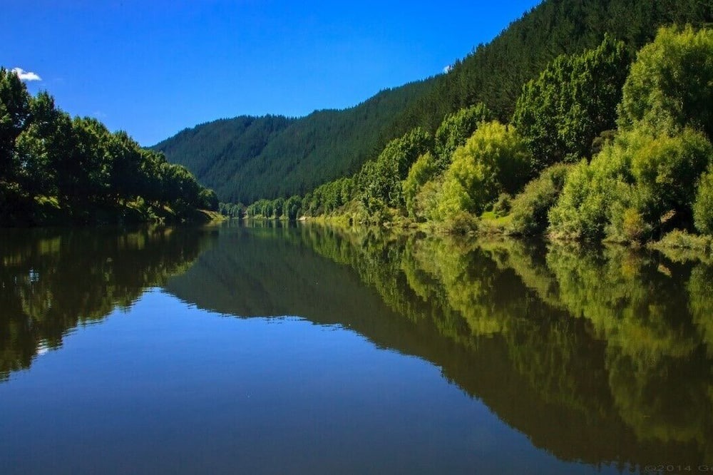 Photo of Others in Whanganui