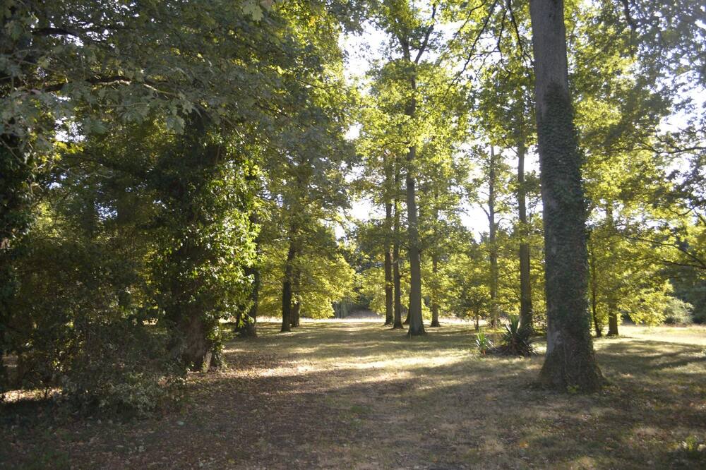 Photo of Outdoor in Saint-Jean-le-Blanc