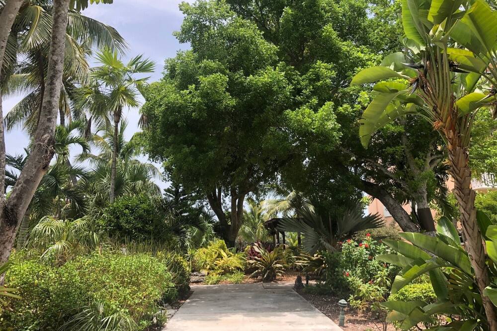 Photo of Outdoor in Key West