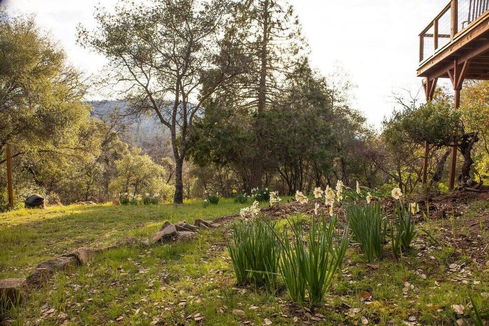 Photo of Others in Midpines