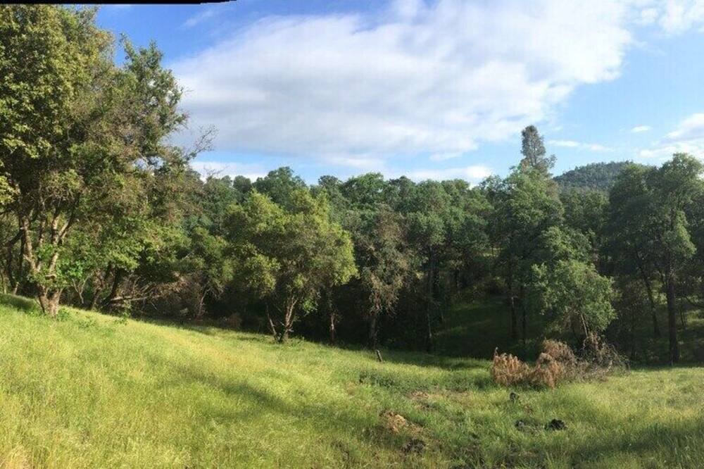 Photo of Others in Midpines