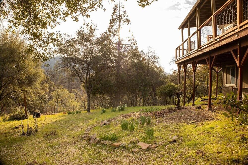Photo of Outdoor in Midpines