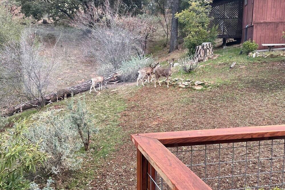 Photo of Others in Midpines