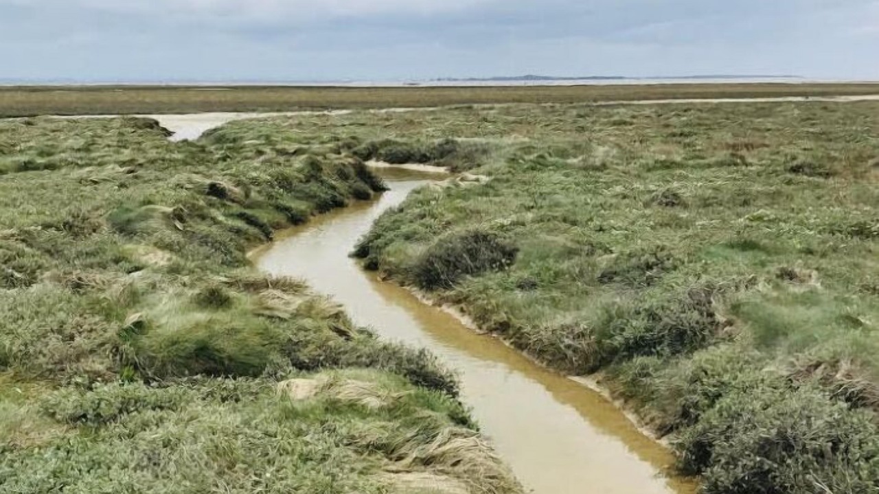 Photo of Outdoor in Cucq