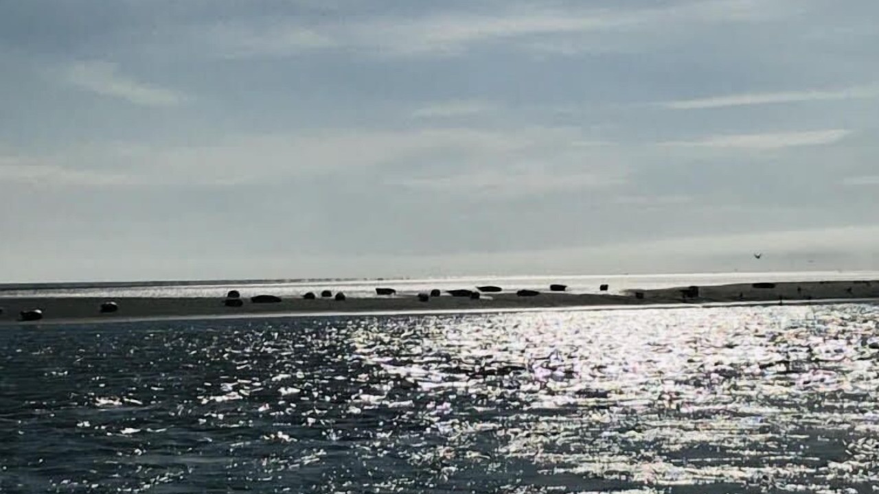 Photo of Others in Cucq