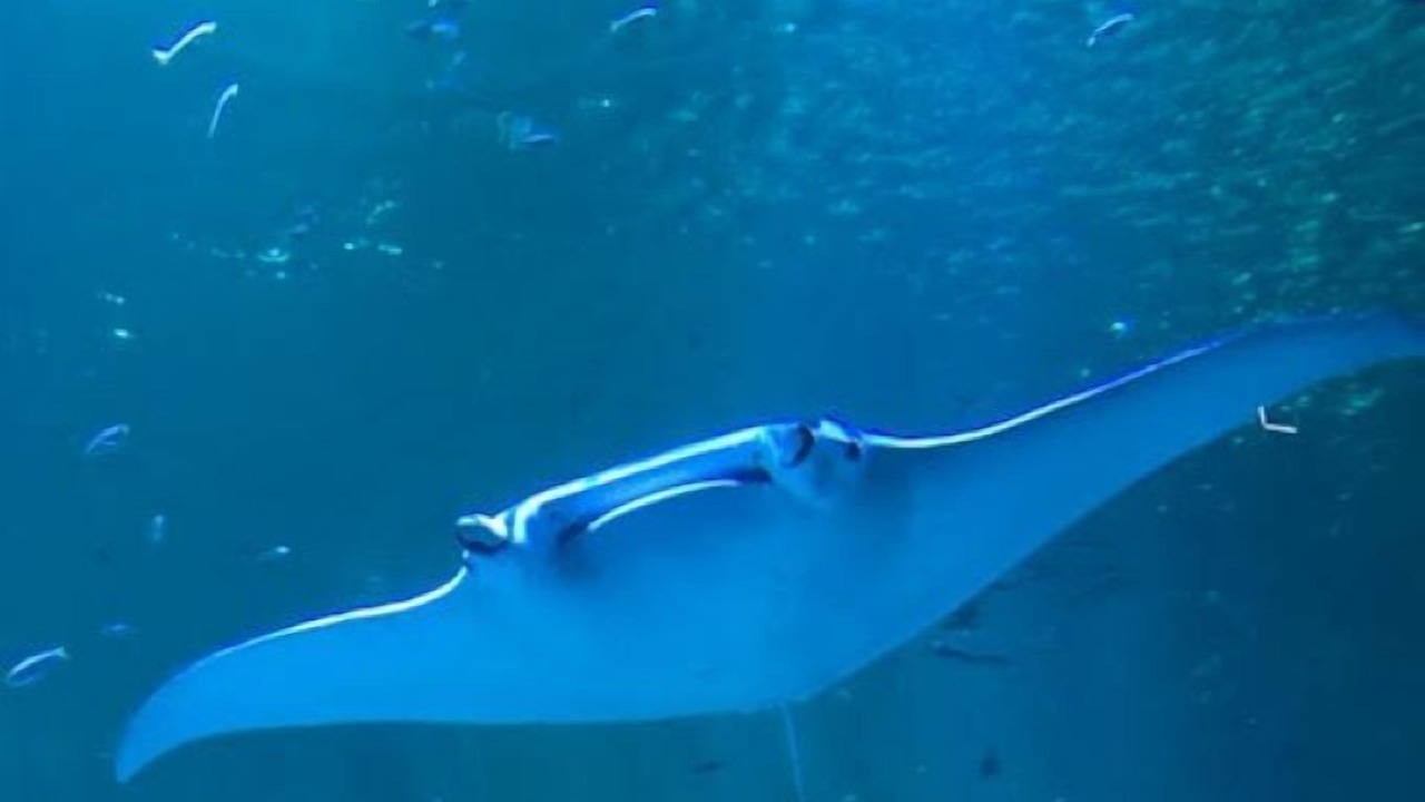 Photo of Outdoor in Cucq