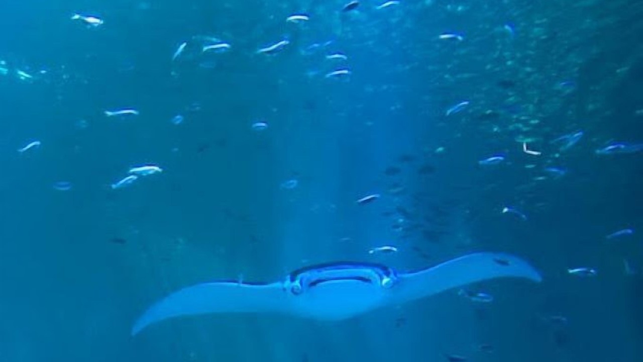 Photo of Outdoor in Cucq