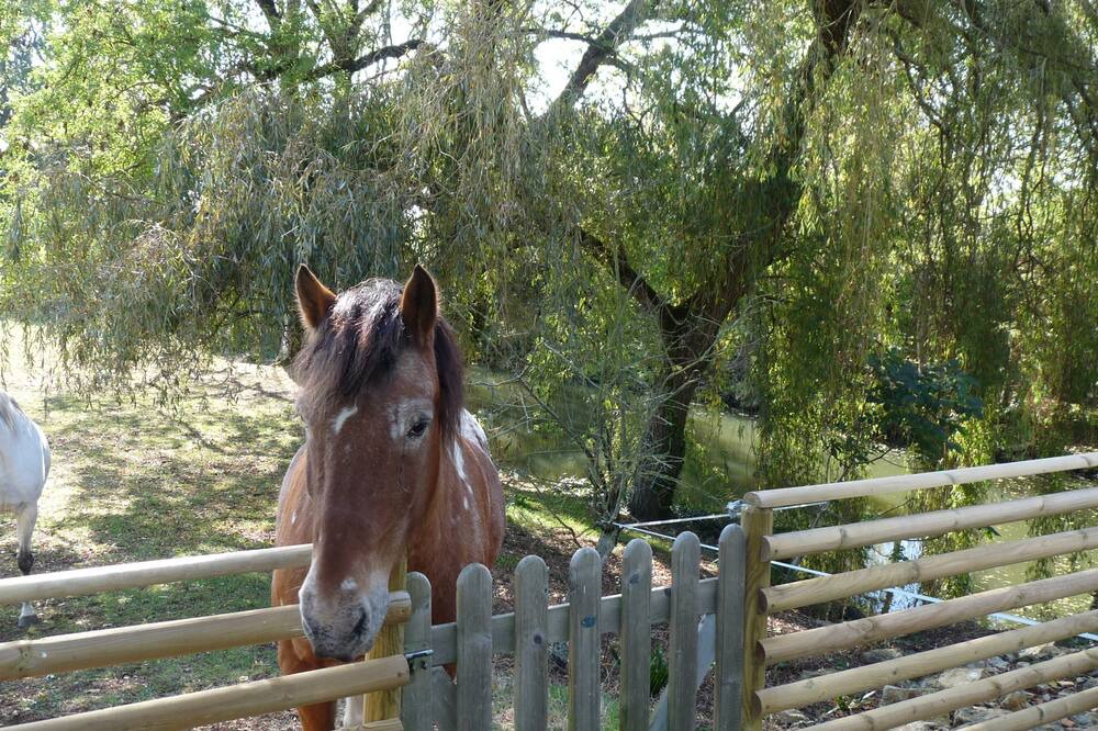 Photo of Others in La Creche